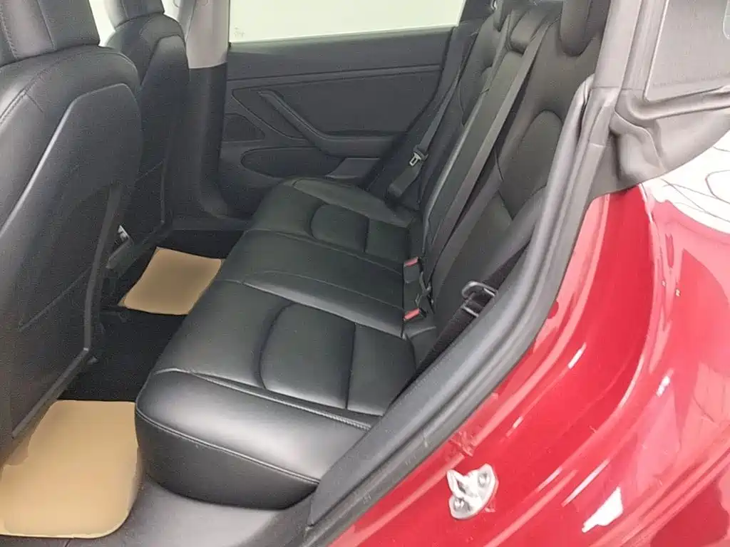 Tesla Model 3 2020 2020 Standard Range Rear-Wheel Drive Upgrade