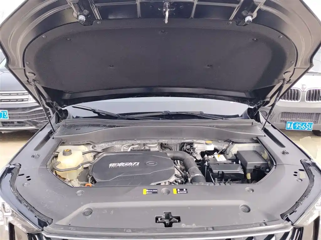 GAC Trumpchi Trumpchi GS8 2022 Pilot Series 2.0TGDI 2WD Luxury Smart Connect Edition (7-Seater) фото 20