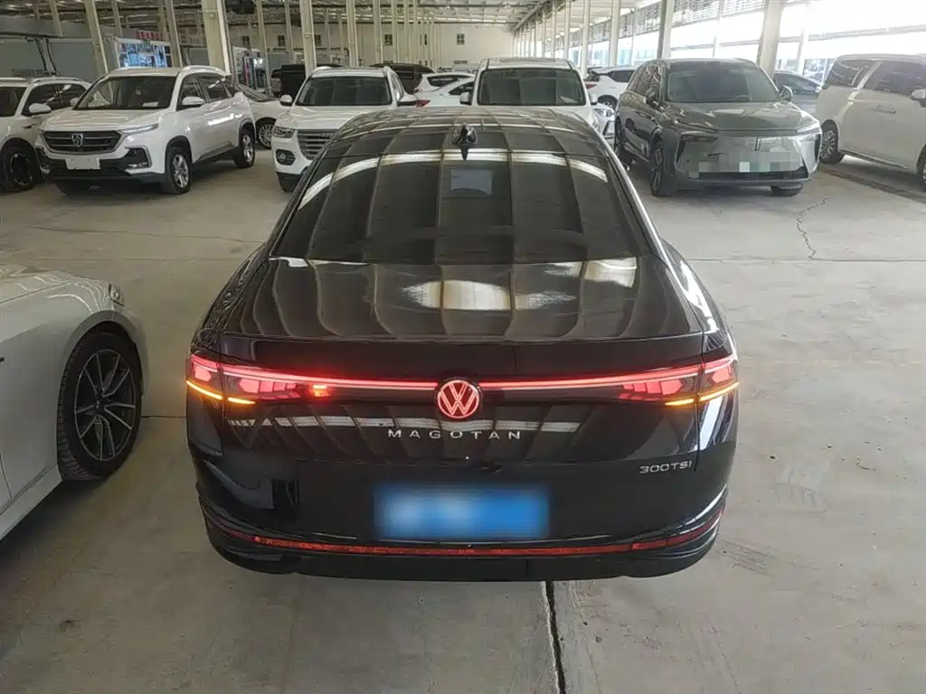 Volkswagen Magotan 2024 300TSI DSG Premium Edition (Eye-catching Package) фото 6