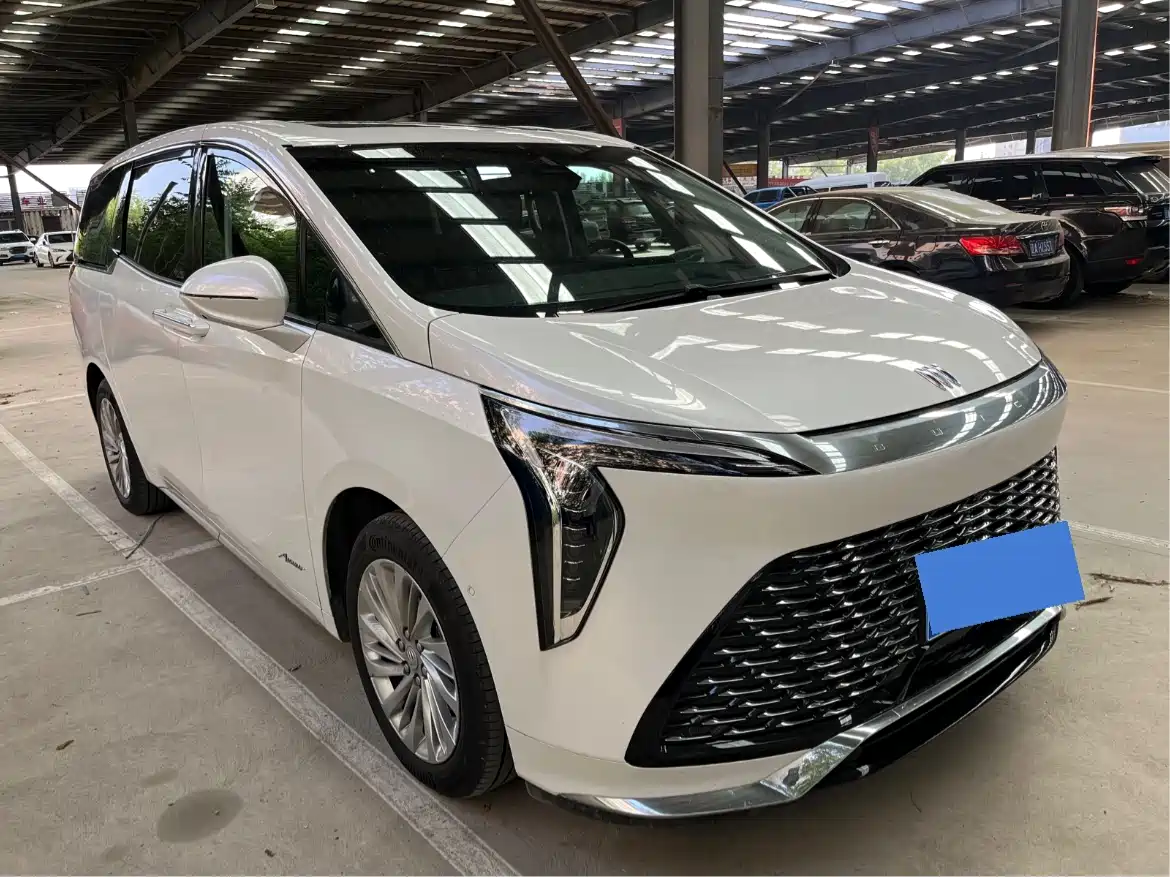 Buick Century 2023 2.0T 7-Seater World Edition фото 26