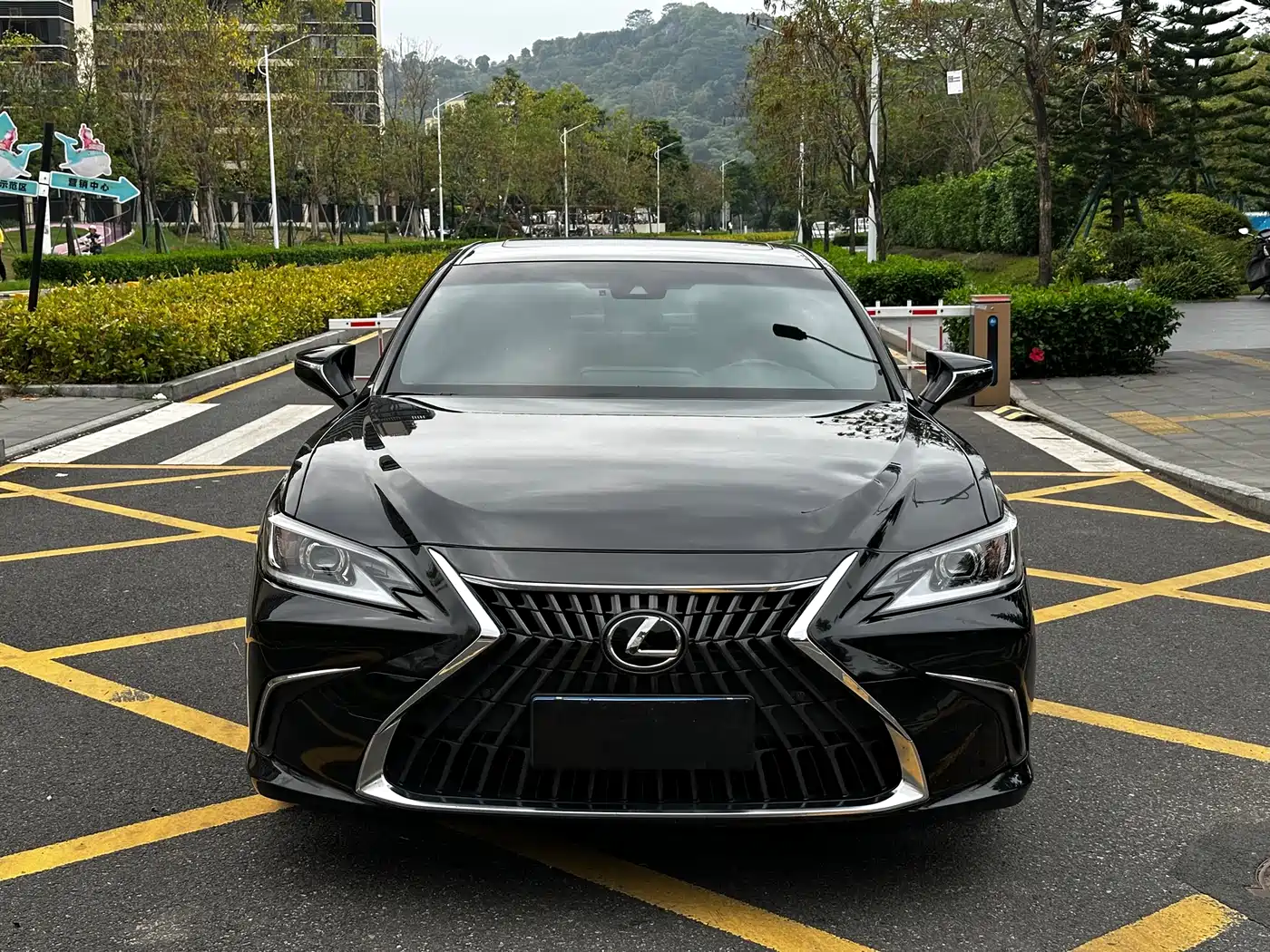 Lexus ES 2022 200 Excellence Edition фото 2