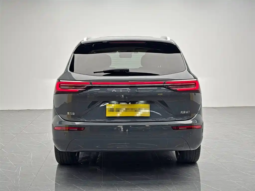 AITO Wenjie AITO M7 2022 1.5T AWD Luxury Edition фото 5