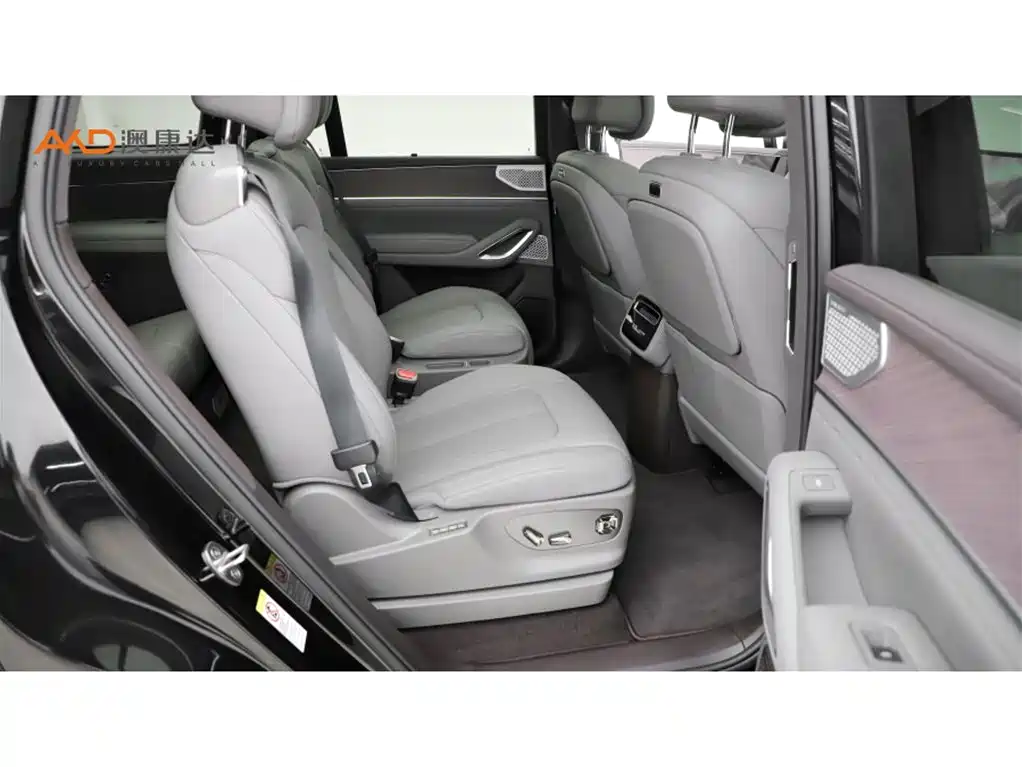 Denza N9 2025 Model Prestige Edition фото 8