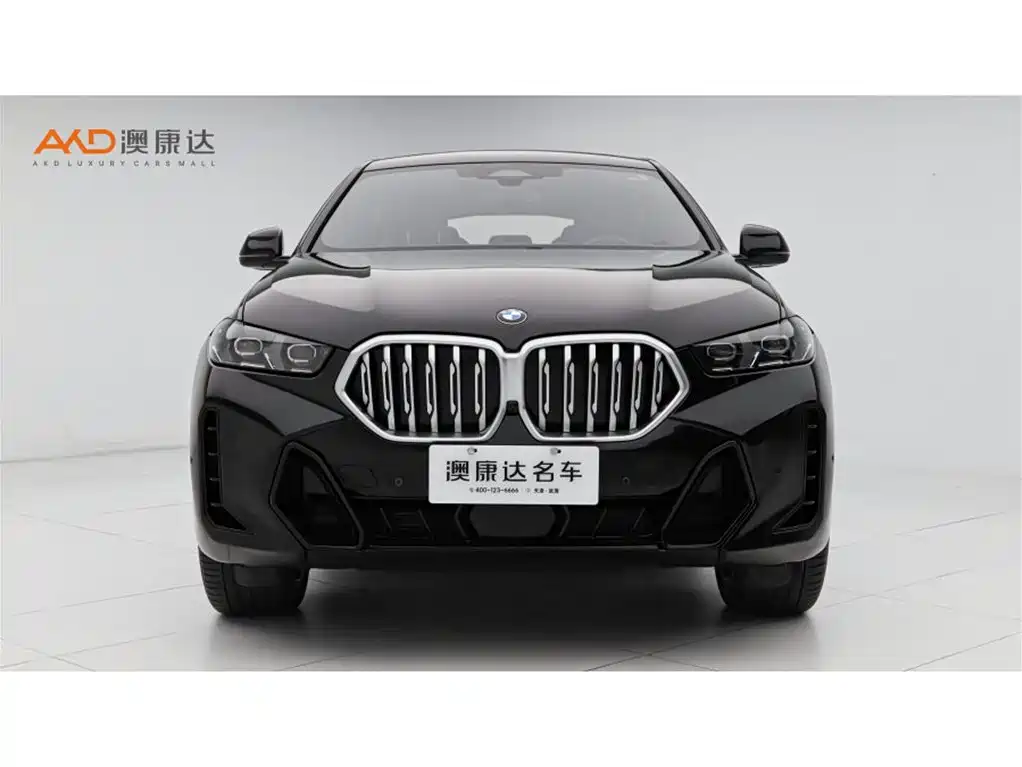 BMW X6 2023 xDrive30i M Sport Package фото 2