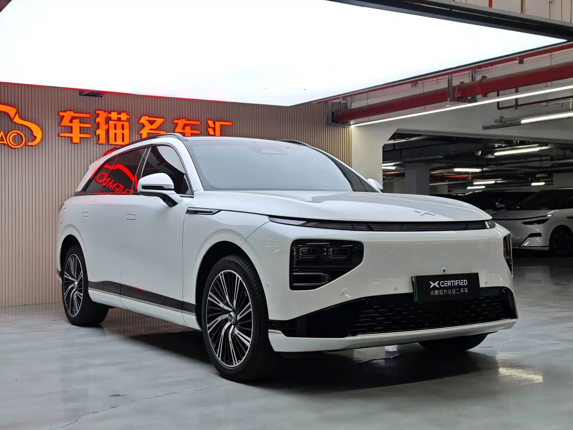 Фото 3 - XPeng G9