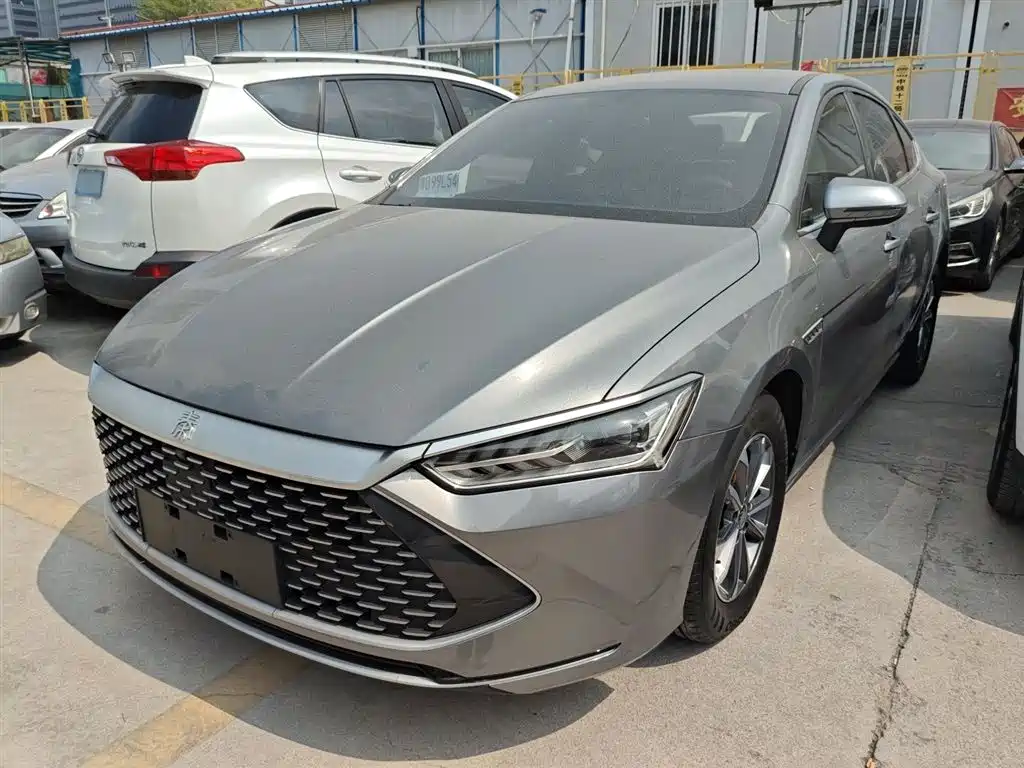 BYD Qin PLUS 2024 Glory Edition DM-i 55KM Leading фото 2