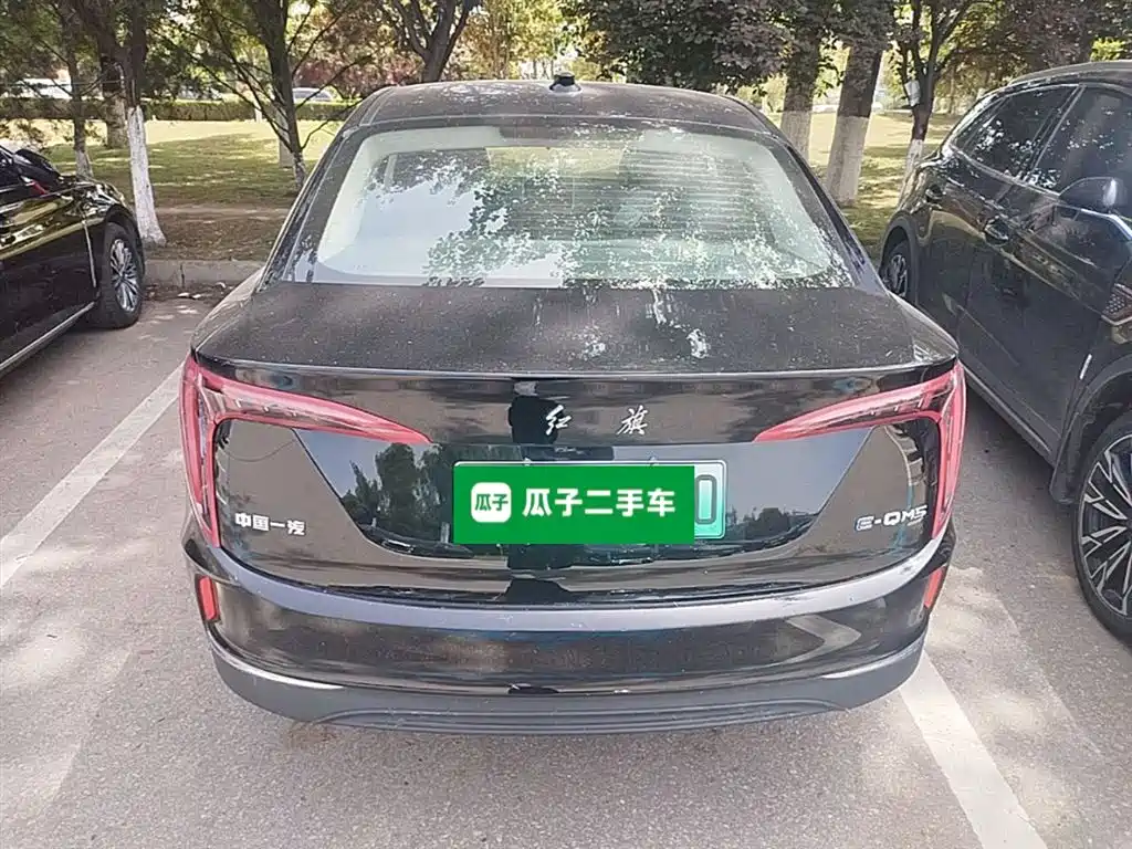 Hongqi E-QM5 2023 Facelift Basic Travel Edition фото 6