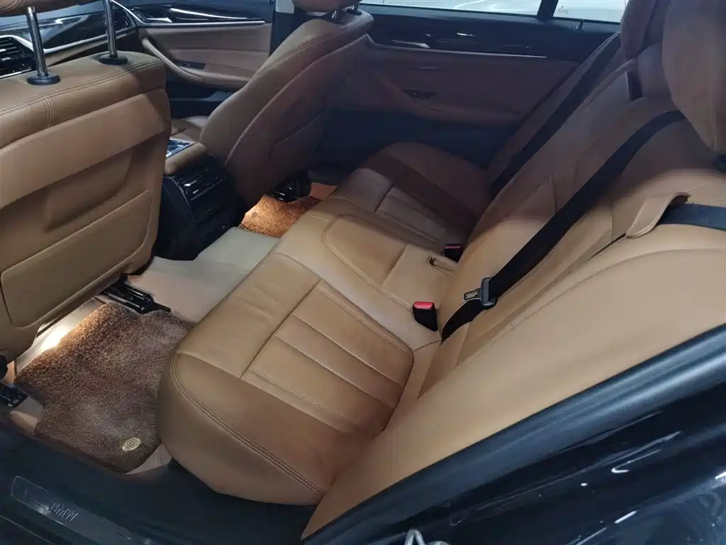 BMW 5 Series 2018 528Li Launch Special Edition фото 13