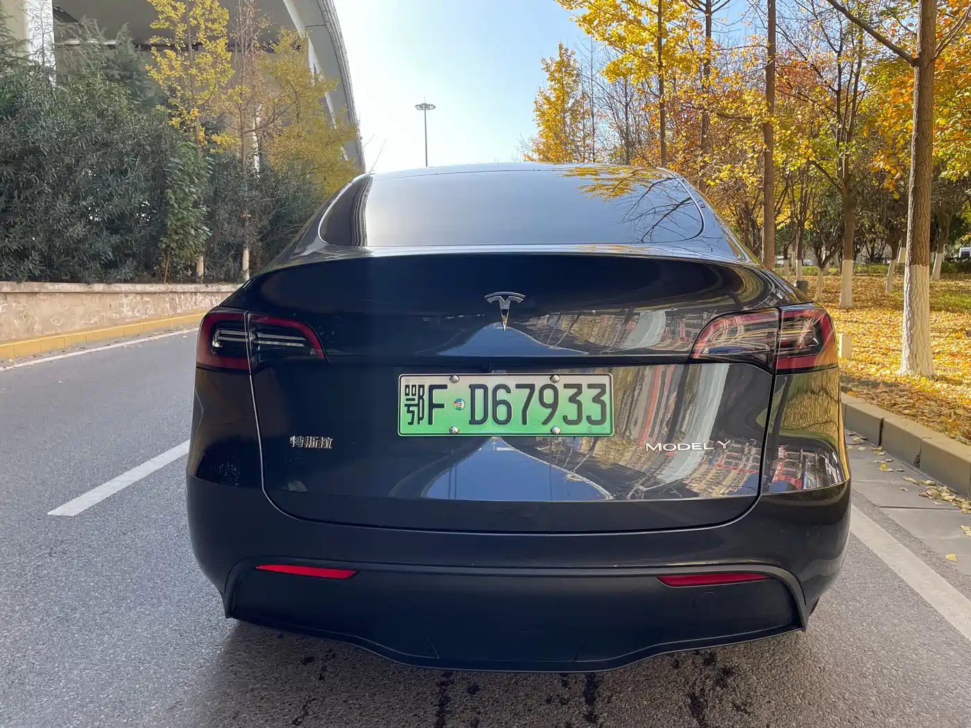 TESLA MODEL Y