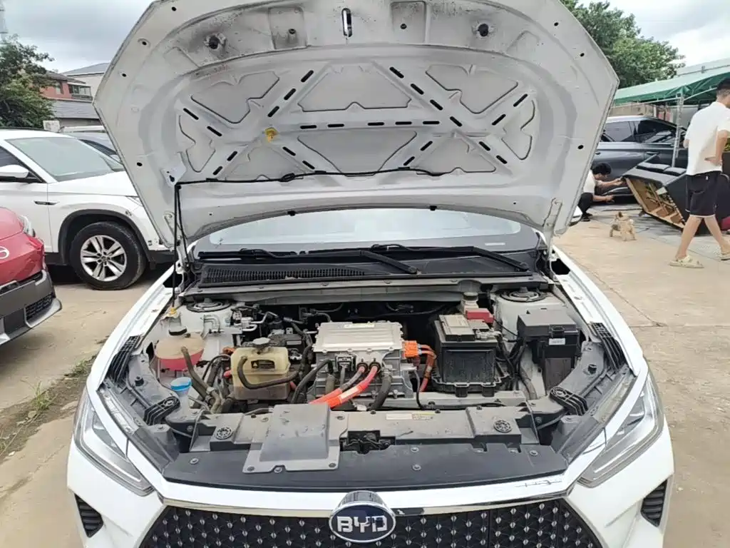 BYD e2 2021 2021 Luxury Edition
