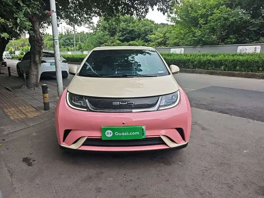 BYD Dolphin 2021 2021 405km Freedom Edition