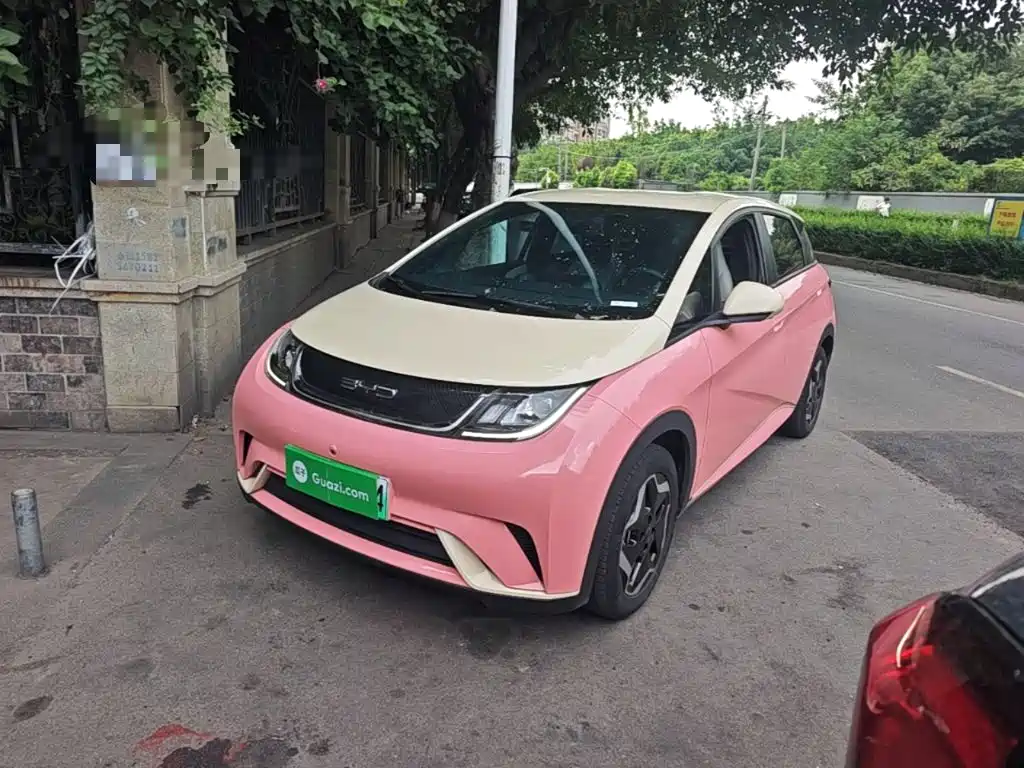 BYD Dolphin 2021 2021 405km Freedom Edition
