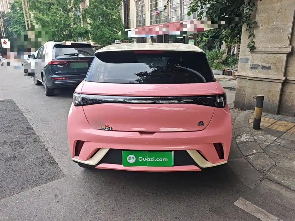 BYD Dolphin 2021 2021 405km Freedom Edition
