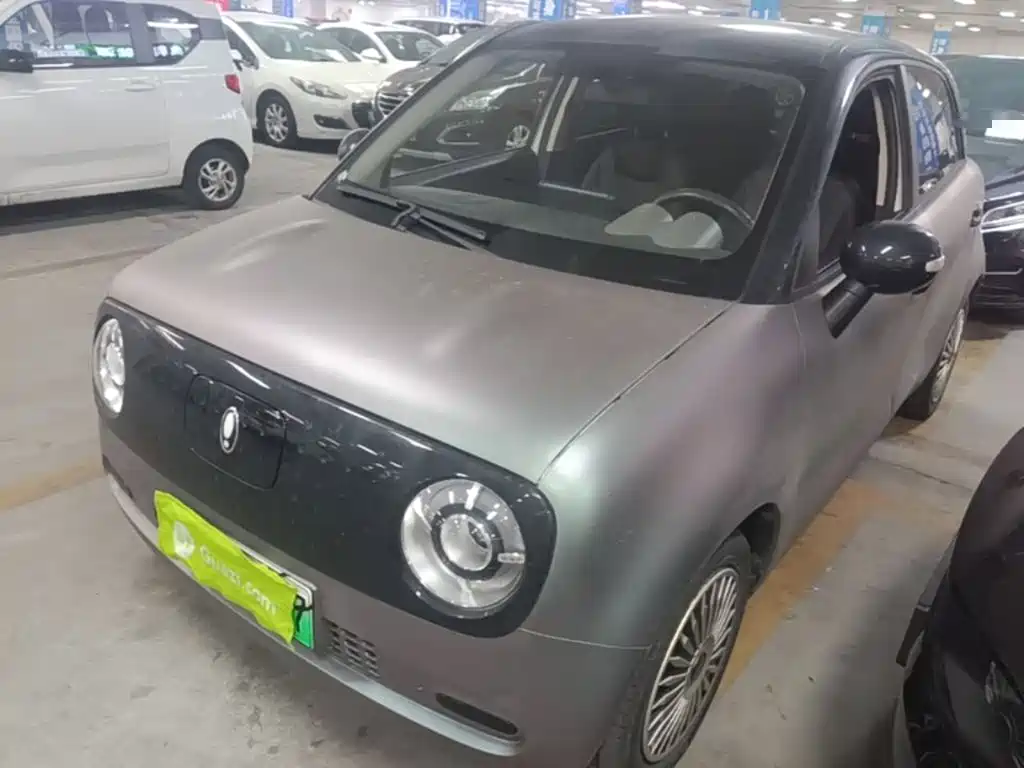 Ora Black Cat 2022 2022 301km Cute Pet Edition (LFP)