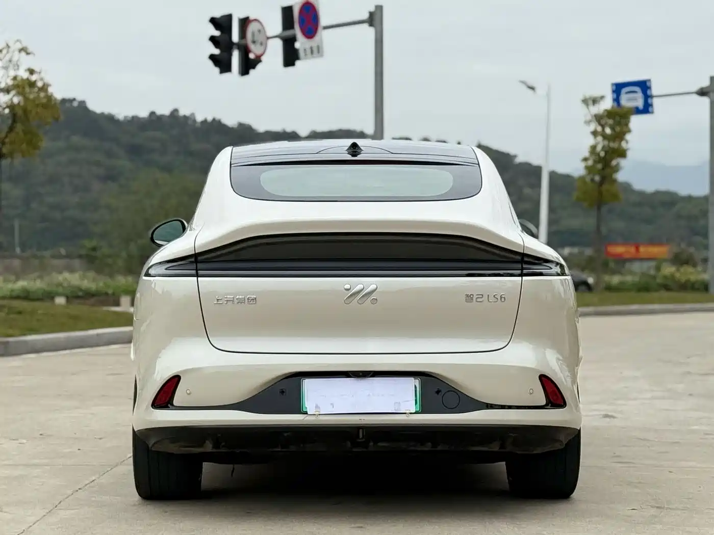 ZHIJI AUTOMOBILE ZHIJI LS6