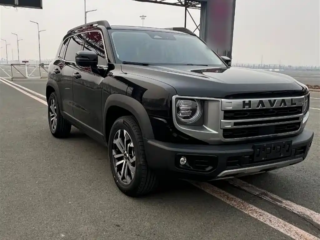 Haval Big Dog 2024 1.5T DCT Border Collie Edition фото 10