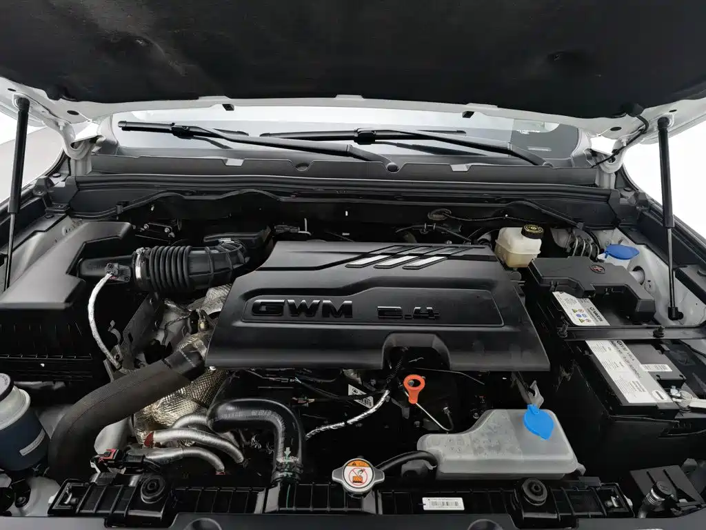 Great Wall Pao 2025 2024 Model 2.4T Commercial Version Automatic Diesel 4WD Elite Type