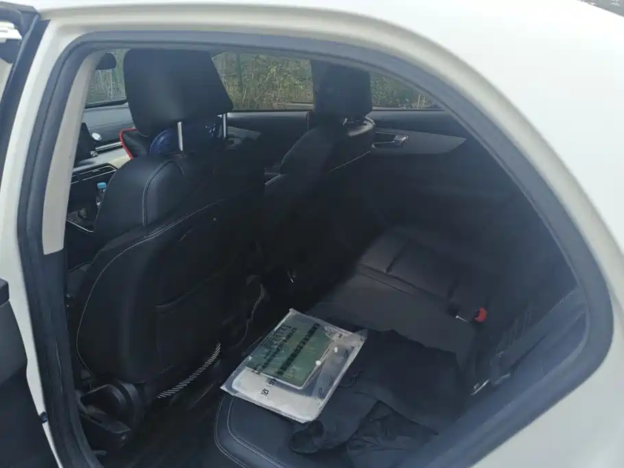 BYD Qin New Energy 2021 2019 Long Range Luxury Edition