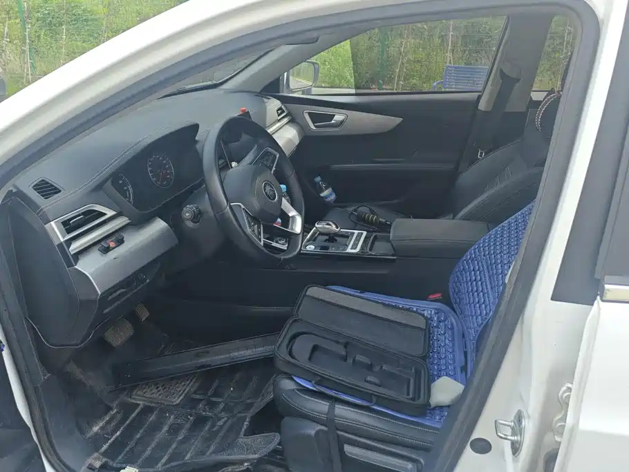 BYD Qin New Energy 2021 2019 Long Range Luxury Edition