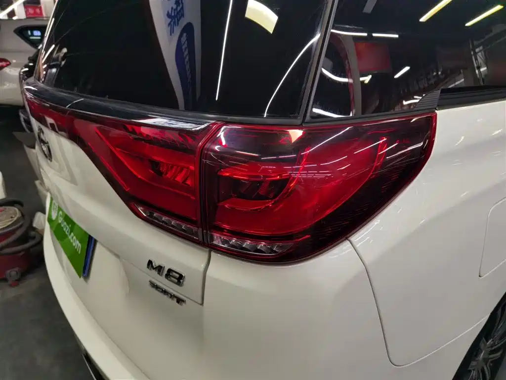 GAC Trumpchi Trumpchi M8 2021 Leading Show Series 390T Prestige Edition фото 24
