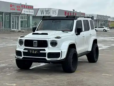 Tank 300
