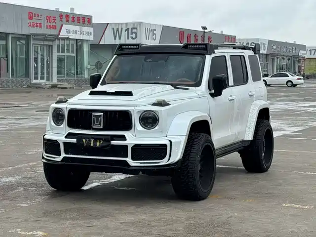 Tank 300 Сити, 2.0T, Стильная