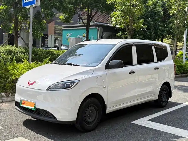  Wuling Motors Wuling Hongguang New Energy 2024 Pure Electric 300KM Standard