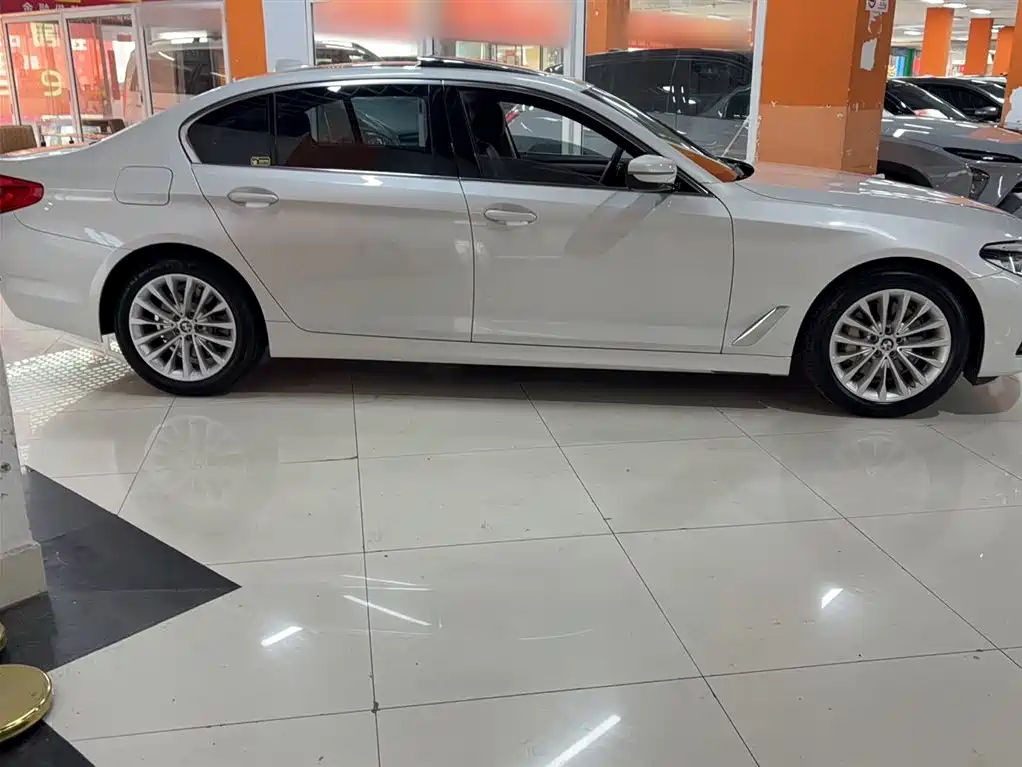 BMW 5 Series 2020 530Li Leading Luxury Package фото 8