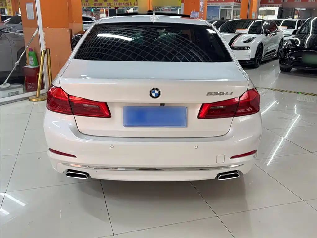 BMW 5 Series 2020 530Li Leading Luxury Package фото 10