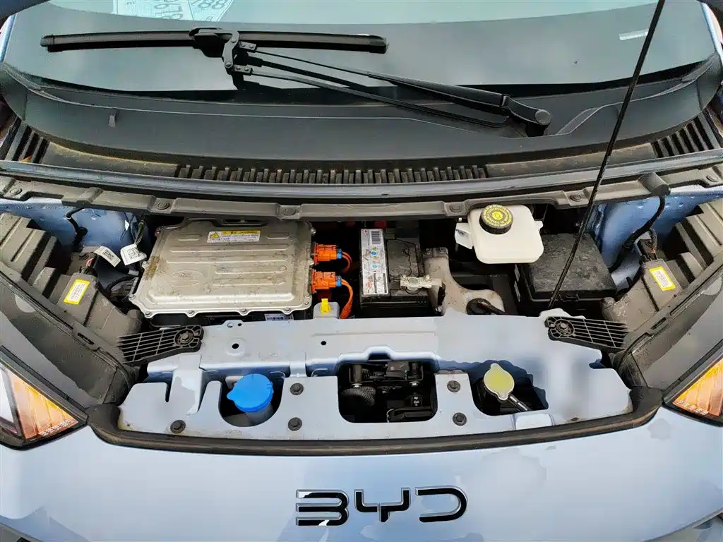 BYD Seagull 2024 Glory Edition 305km Freedom Edition фото 19