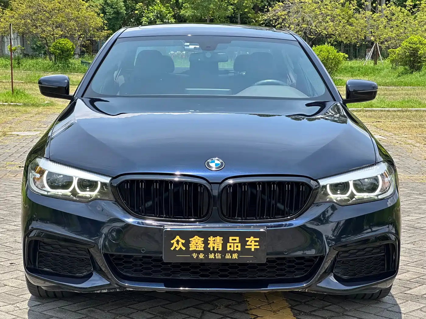 BMW 5 Series, миниатюра 2