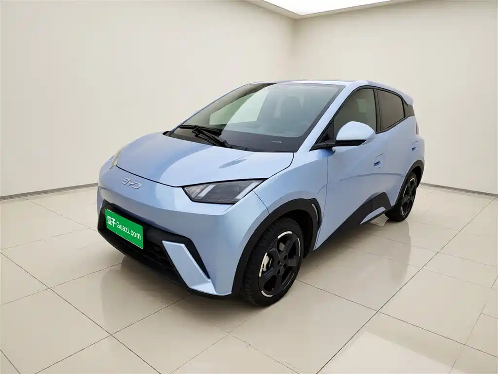 BYD Seagull 2024 Glory Edition 305km Freedom Edition
