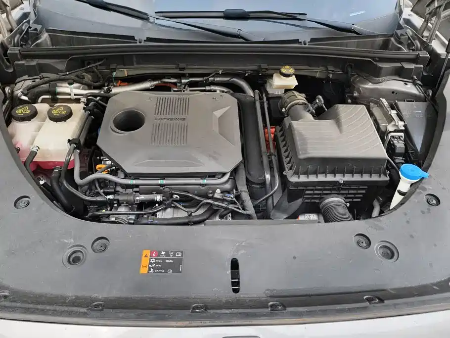 Roewe D5X DMH 2025 2024 135 Flagship Edition