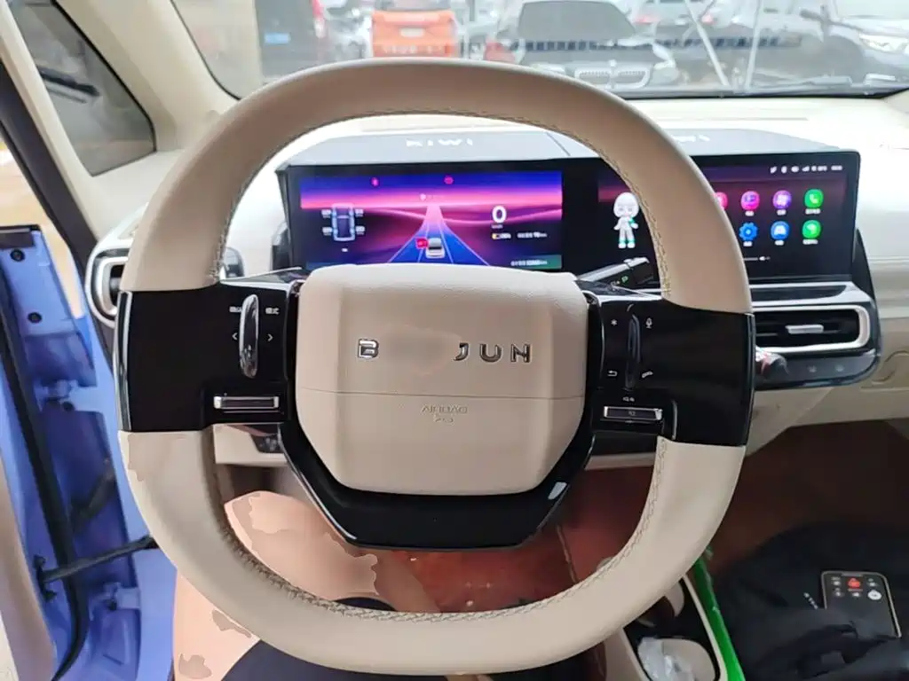 Baojun KiWi EV 2024 2022 Artist Lite Edition LFP