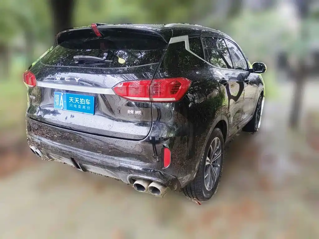 2021 WEY VV6
