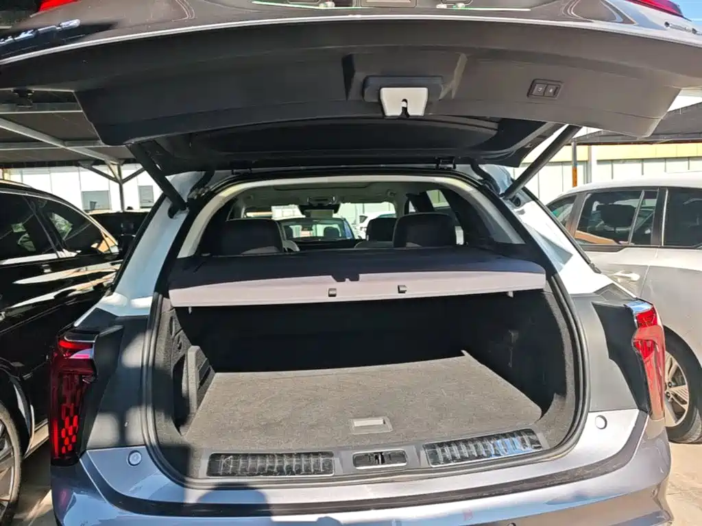 Hongqi E-HS9 2023 2022 660km Qi Ling Edition (4-seater)