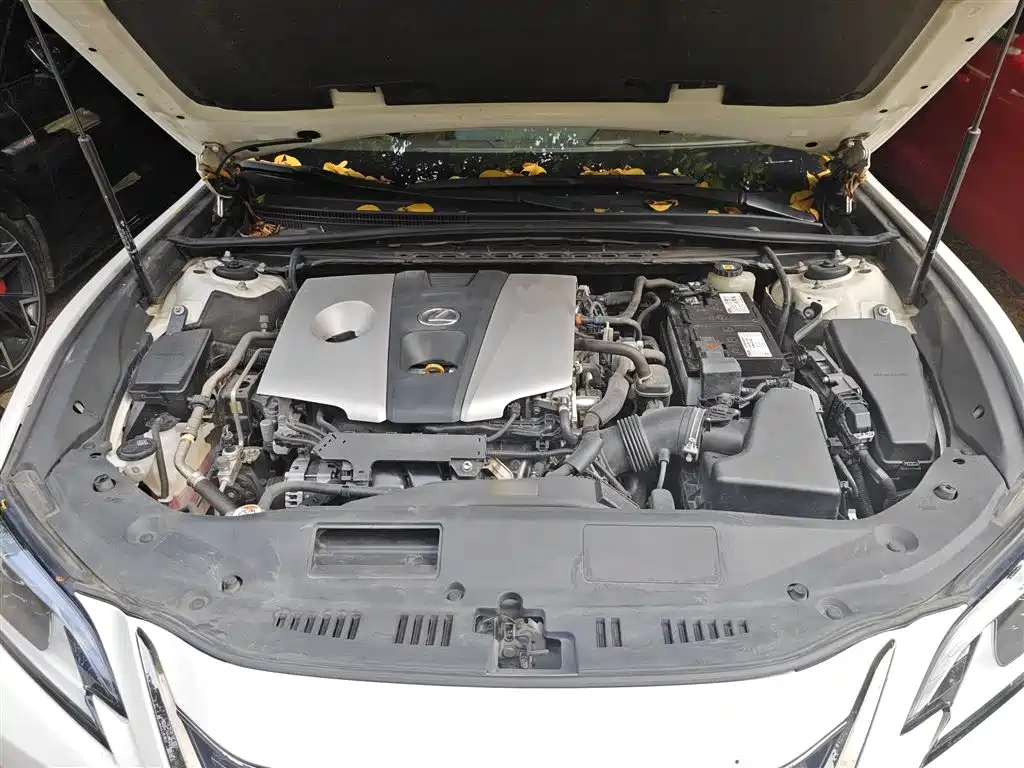 Фото 10 - Lexus ES