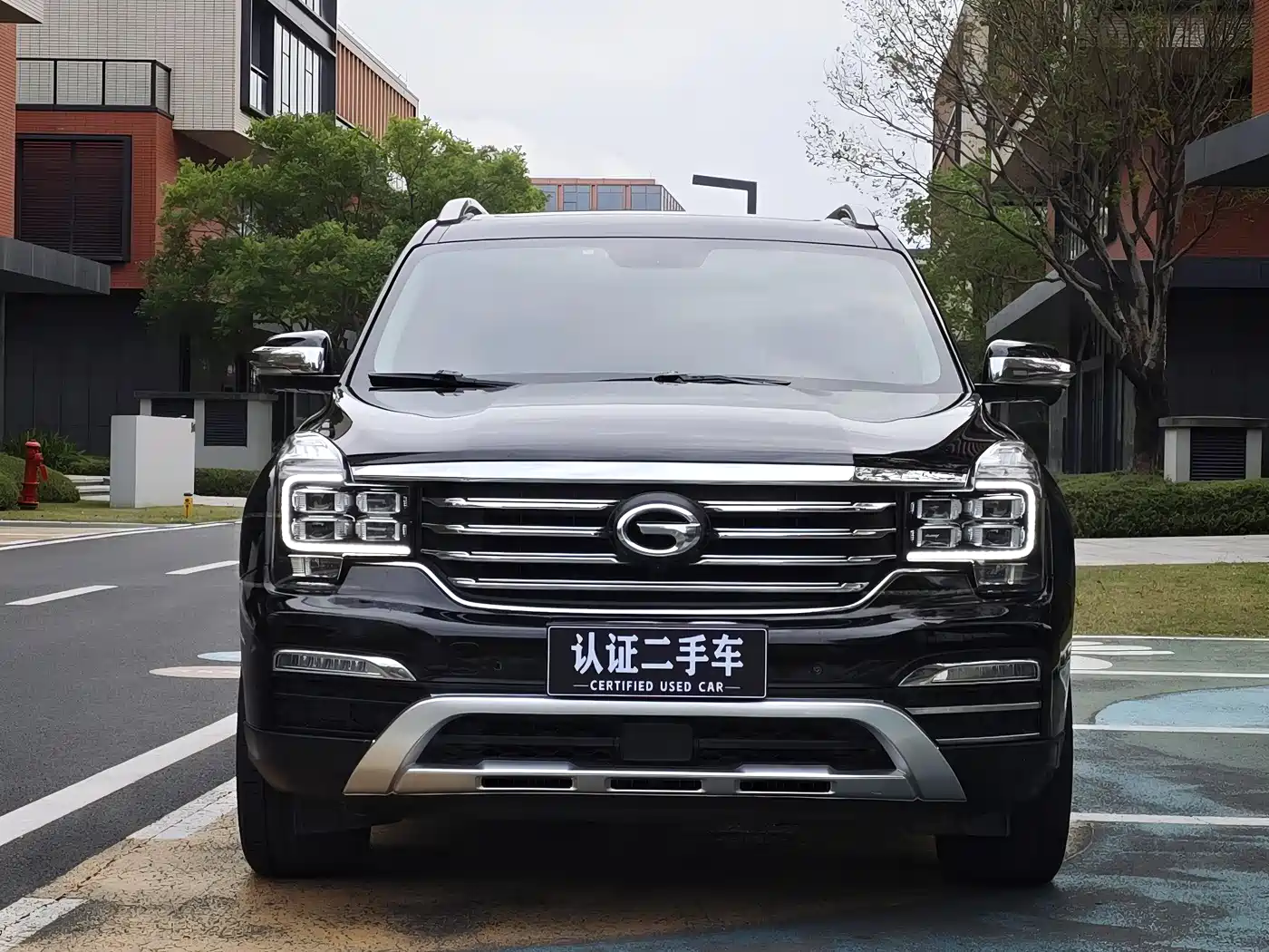 GAC Trumpchi Trumpchi GS8 2017 320T 2WD Luxury Smart Connect (7-seater) фото 2