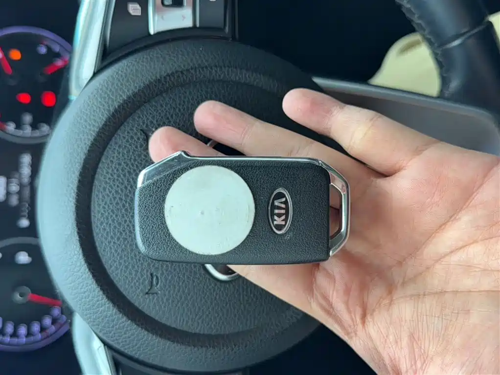 Kia Sportage 2019 2.0L Automatic Smart Luxury Edition фото 11