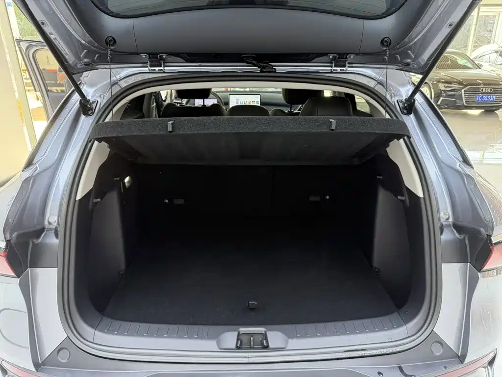 BYD Yuan PLUS 2025 2025 Smart Drive Edition 430KM Leading