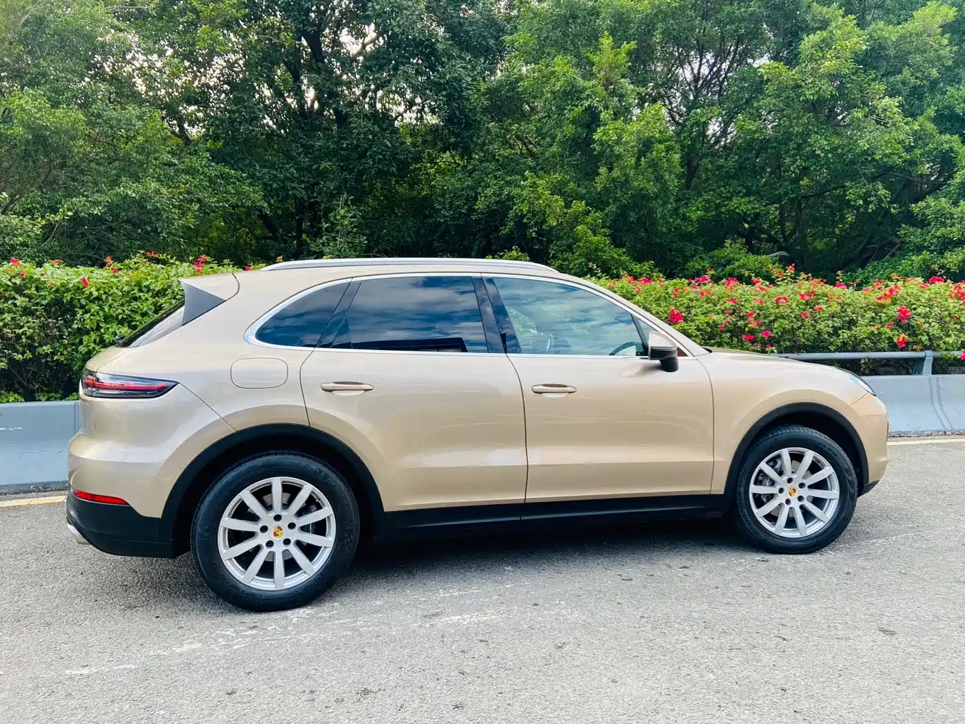 Porsche Cayenne 2018 Cayenne 3.0T фото 11