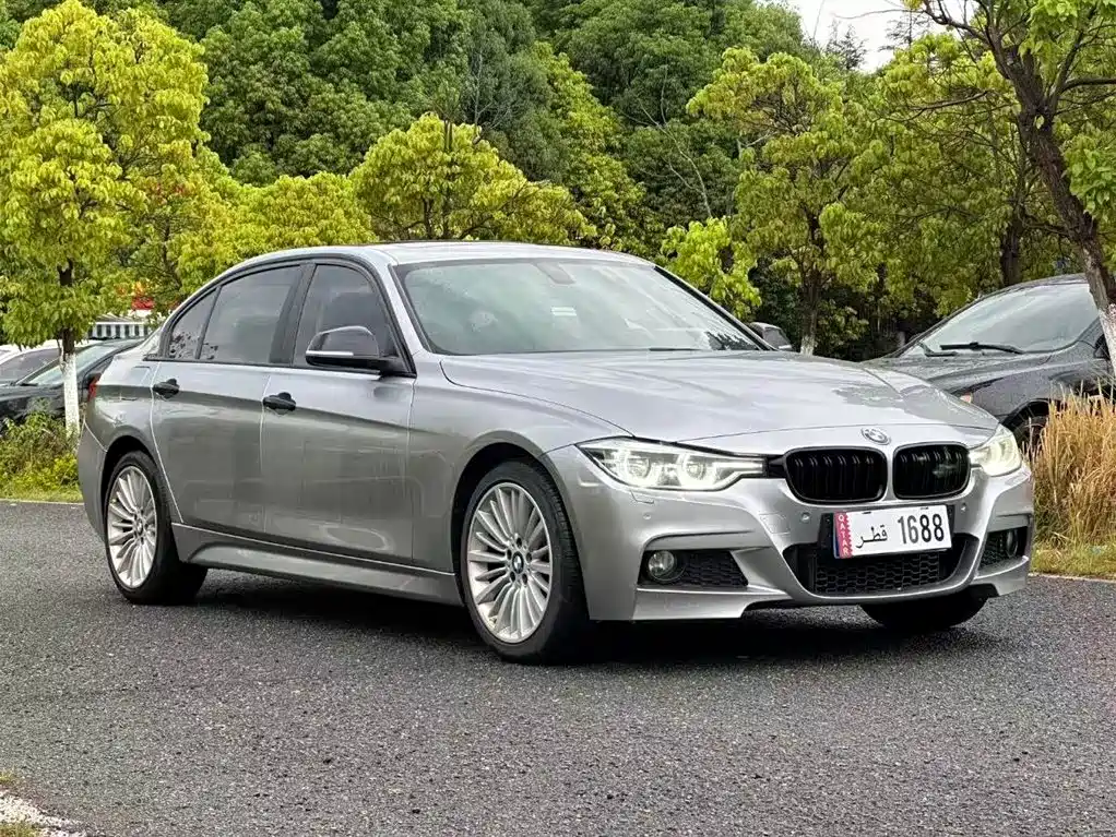 BMW 3 Series 2018 320Li Leading M Sport Package фото 3