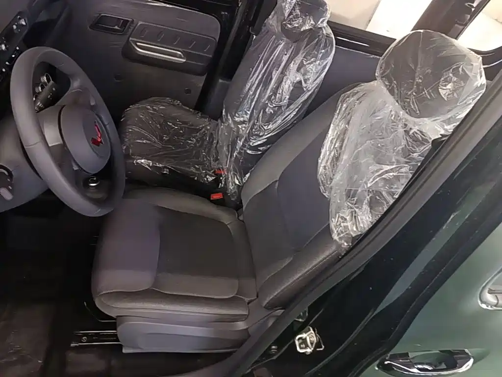 Wuling Motors Wuling Zhiguang NEV 2026 2025 Standard Version