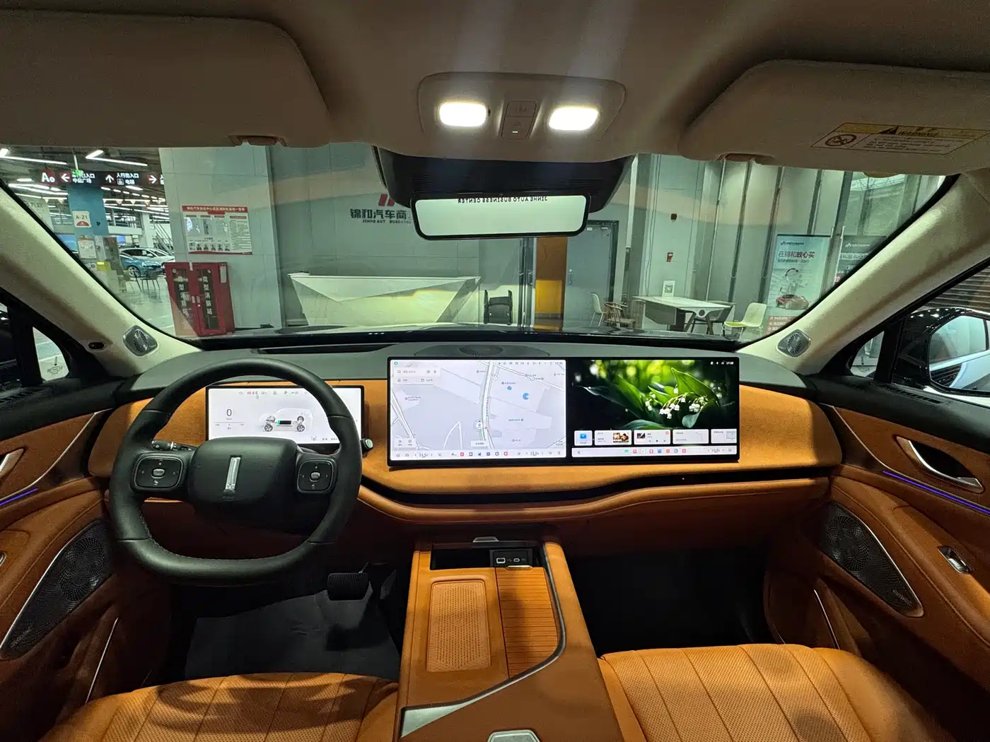 WEI PAI WEI BRAND BLUE MOUNTAIN