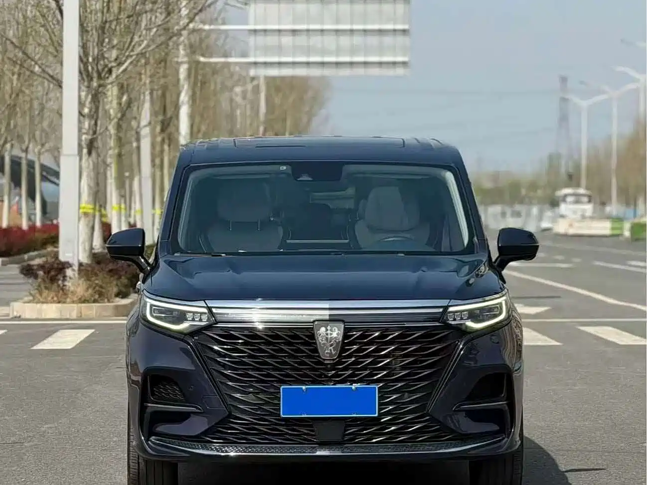 Roewe iMAX8 2021 2021 400TGI Supreme Series Honor