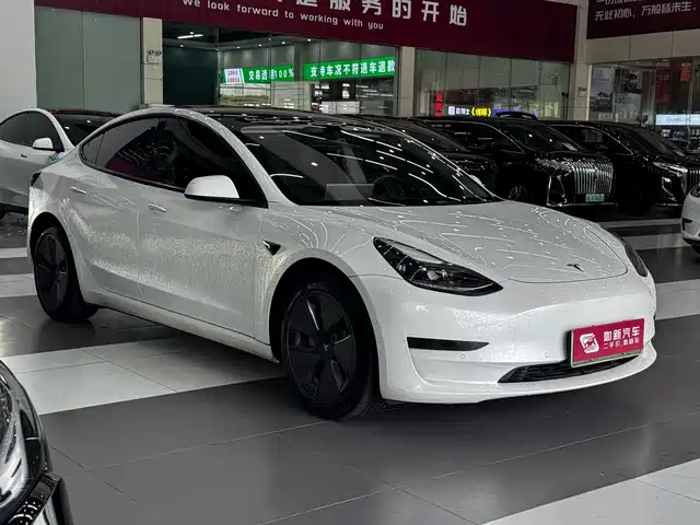 Tesla Model 3 2022 Model Rear-Wheel Drive Version — фото 3