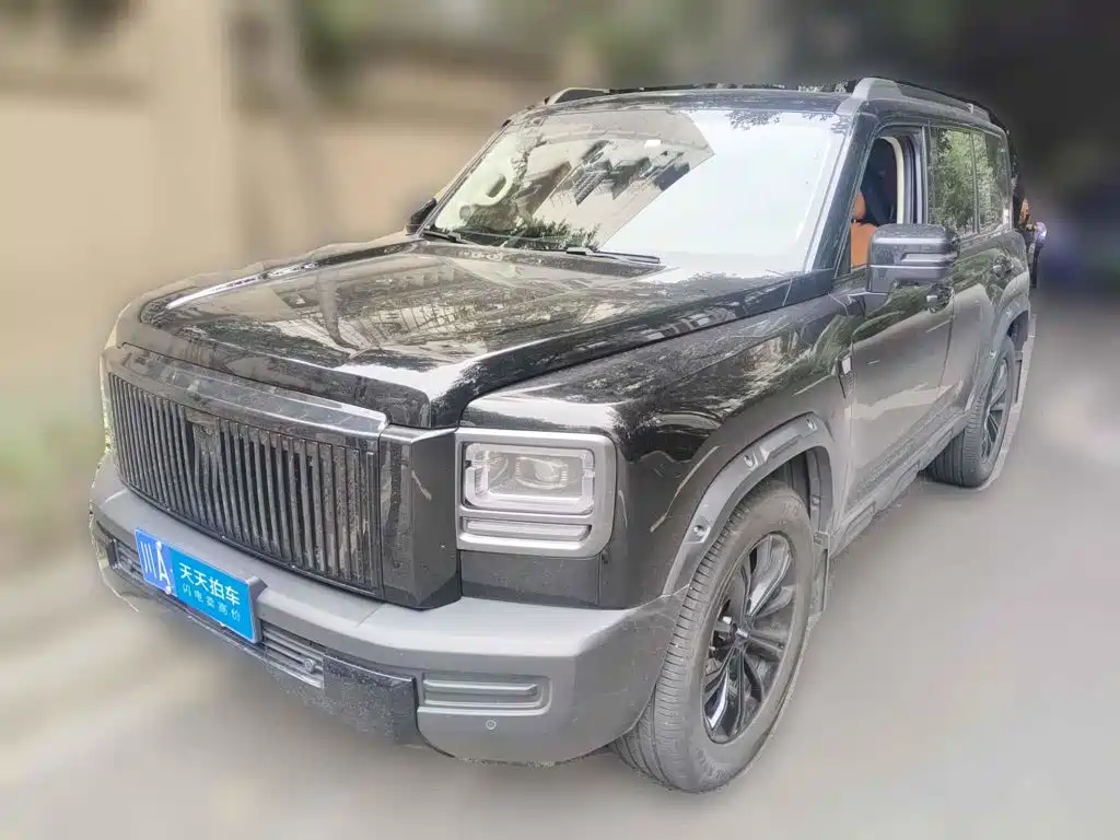 Haval Menglong 2025 2025 2.0T 4WD Ultra