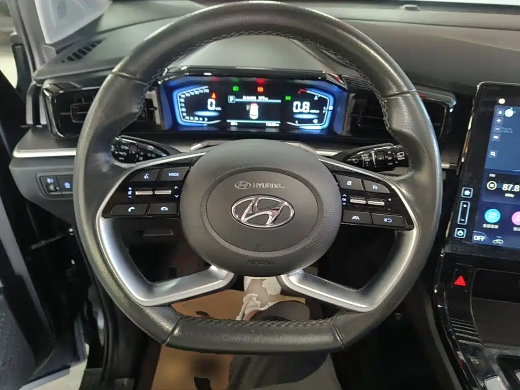 Photo 11 - Hyundai Custo