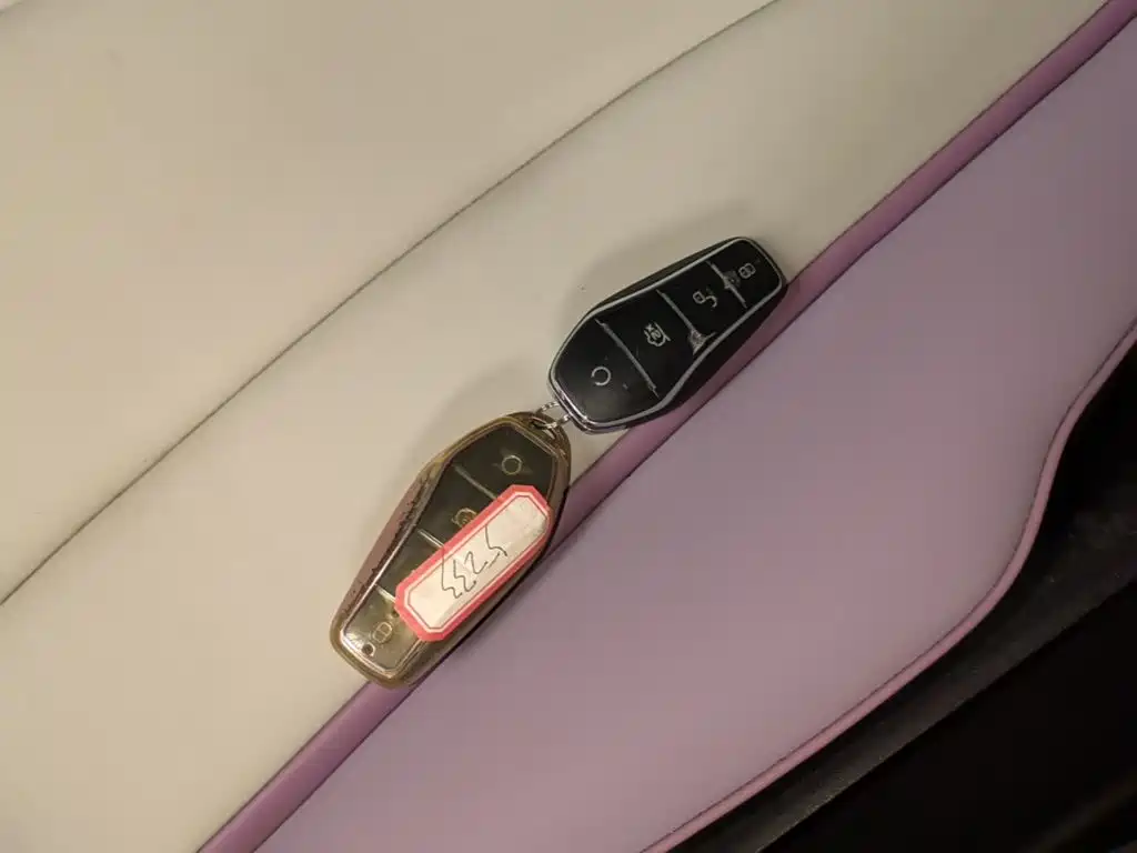 BYD Dolphin 2021 2021 Model 405km Fashion Edition
