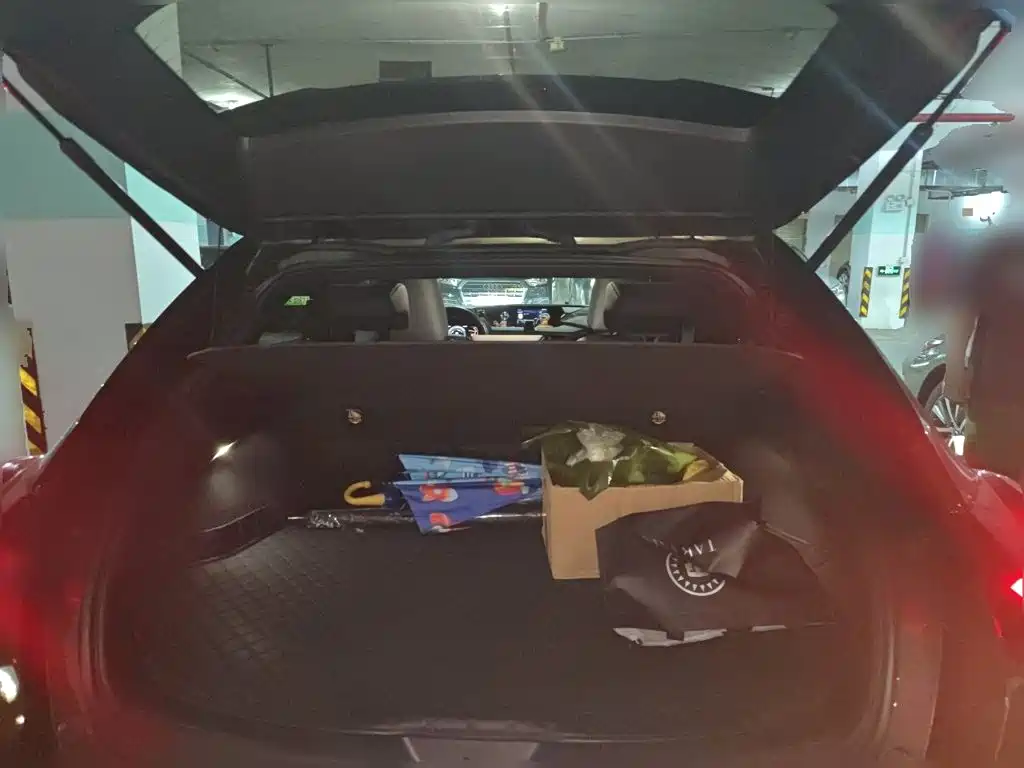 Lexus UX 2021 2020 260h Explore Cool Edition